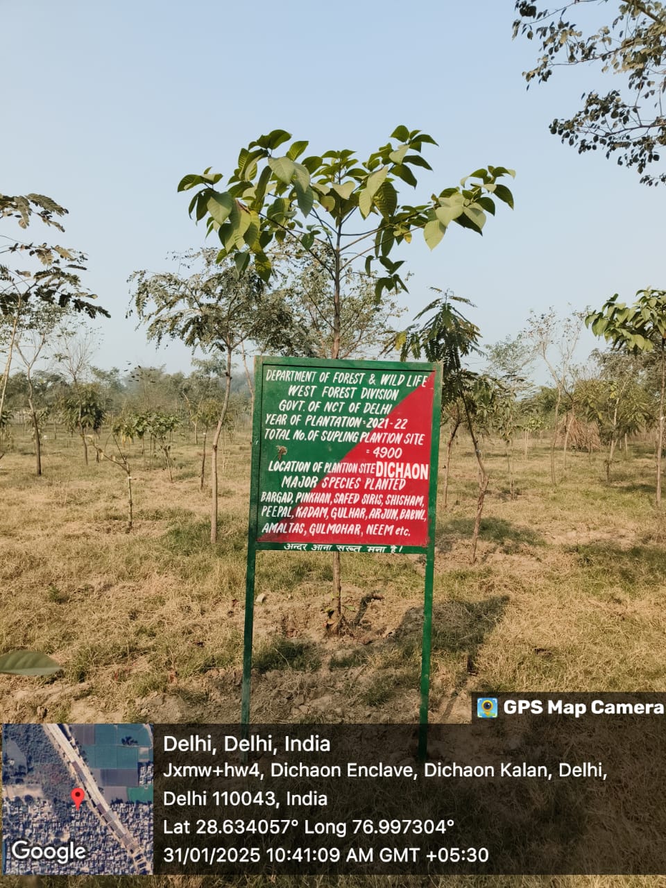 Compensatory Afforestation